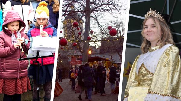 2023-10-2_collage (2).jpg