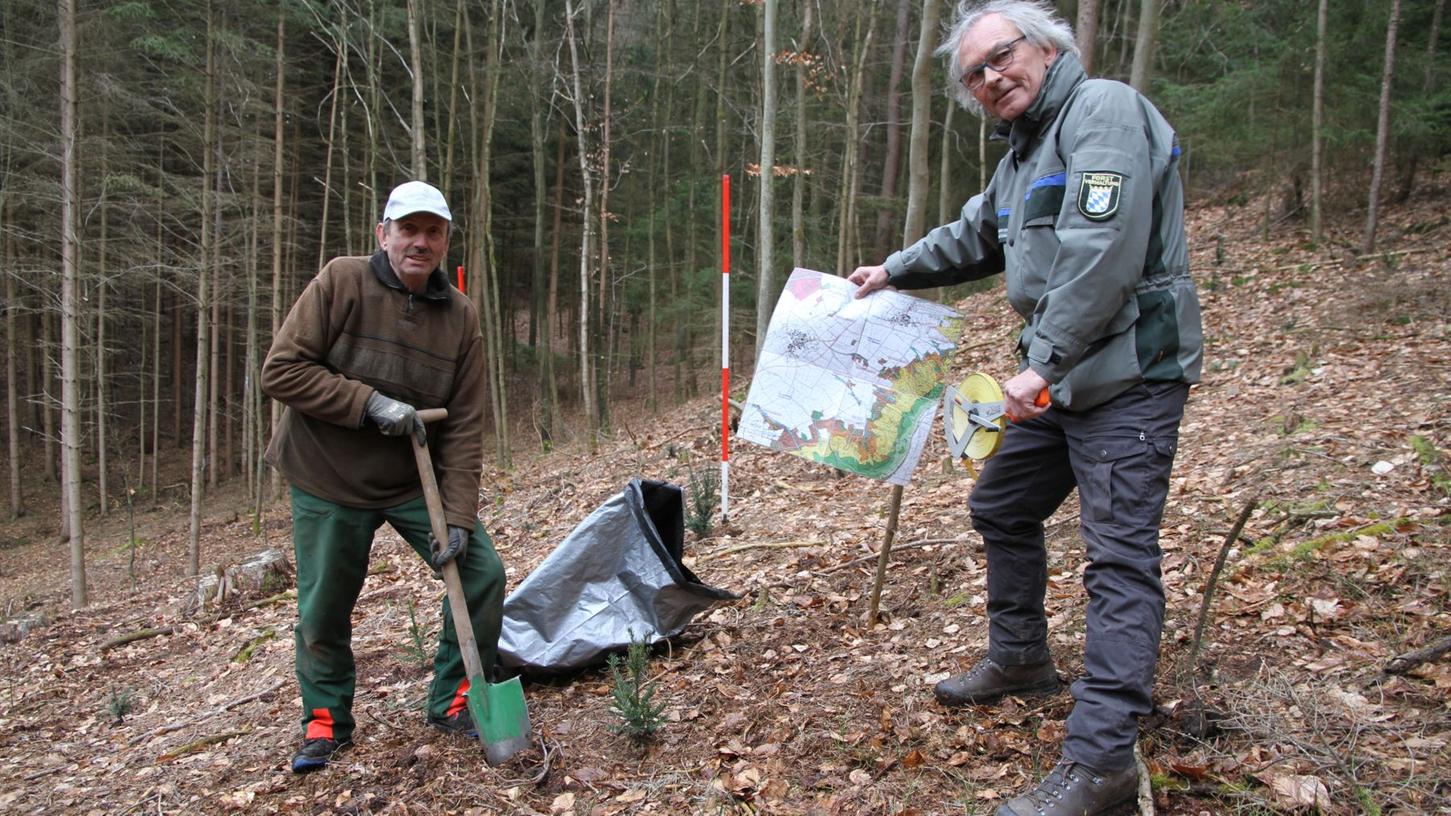 Leo Schirner (links) pflanzt gemeinsam mit Forstamtsrat Matthias Jessen (rechts) Bäume in seinem Wald bei Drosendorf in der Fränkischen Schweiz.