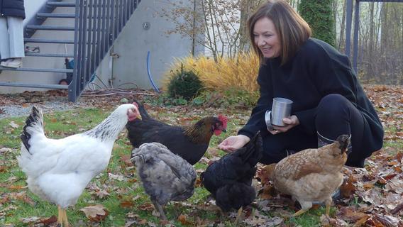 Da gackert es im Garten: Daniela Braig aus Roth ist Hühnerhalterin aus Leidenschaft