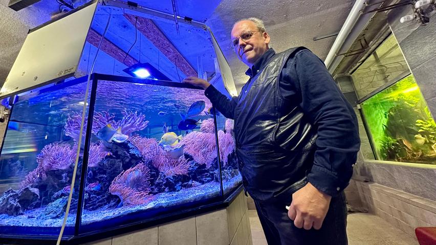 Gerhard Farnbacher, langjähriger Vorsitzender und heute Schriftführer von Toxotes, vor dem ganzen Stolz des Vereins - dem großen Meerwasseraquarium.   