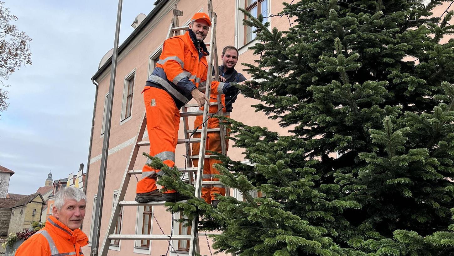 Mitarbeiter des Bauhofs stellen den sechs Meter hohen Baum auf dem Balkon des Landratsamtes auf und behängen ihn mit einer Lichterkette. Mitarbeiter des Bauhofs stellen den sechs Meter hohen Baum auf dem Balkon des Landratsamtes auf und behängen ihn mit einer Lichterkette.