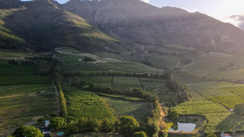 In Franschhoek laden die örtlichen Winzereien zum genießen ein.