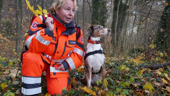 Zwei vermisste Personen - 30.000 Quadratmeter Wald: Was Rettungshund Luna alles kann