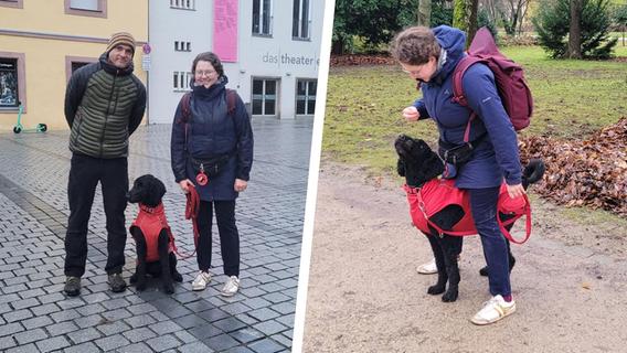 "Ohne ihn könnte ich nicht raus": Hund Hugo hilft Erlangerin Amelie nach Überfall durch den Alltag