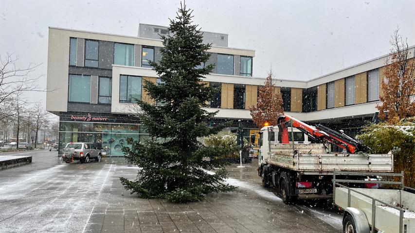 Der Weihnachtsbaum auf dem George-Marshall-Platz im Röthelheimpark wird aufgestellt.