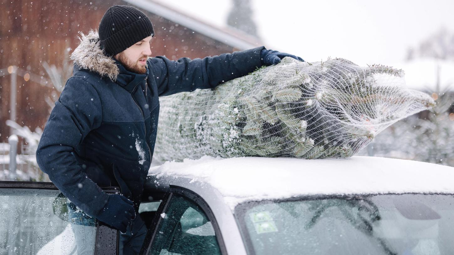 Fehler beim Weihnachtsbaumtransport können teuer werden. Fehler beim Weihnachtsbaumtransport können teuer werden.