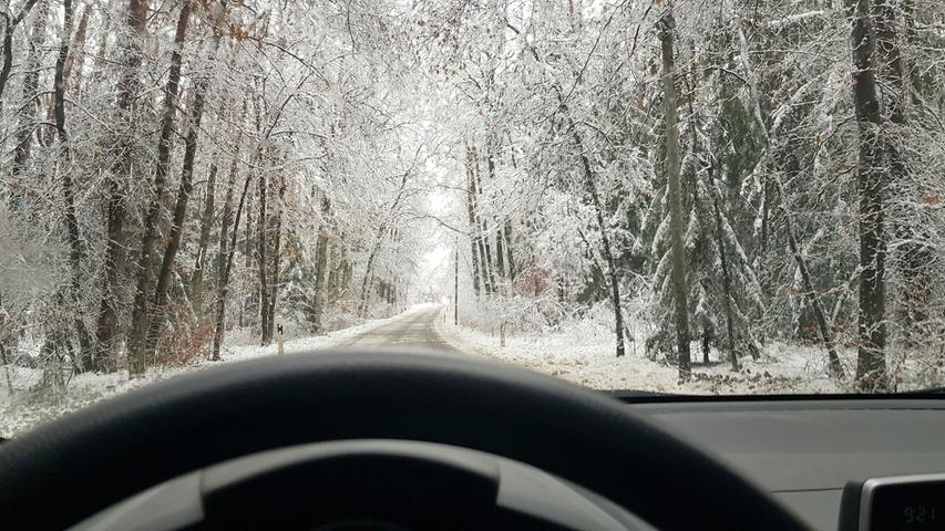 Achtung, Astbruch-Gefahr! Die Straße durch den verschneiten Wald zwischen Sengenthal und Reichertshofen am Dienstagmorgen. Achtung, Astbruch-Gefahr! Die Straße durch den verschneiten Wald zwischen Sengenthal und Reichertshofen am Dienstagmorgen.