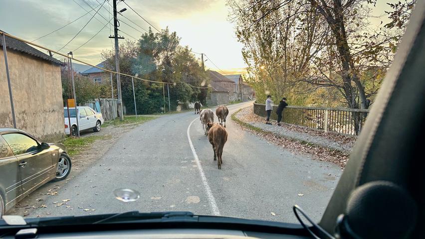 Die Georgier gelten als - sagen wir - wagemutige Autofahrer. Schweine, Schafe, Pferde, Hunde und Kühe, die auf den Dorfstraßen umherlaufen, werden aber mit Bedacht umfahren. 