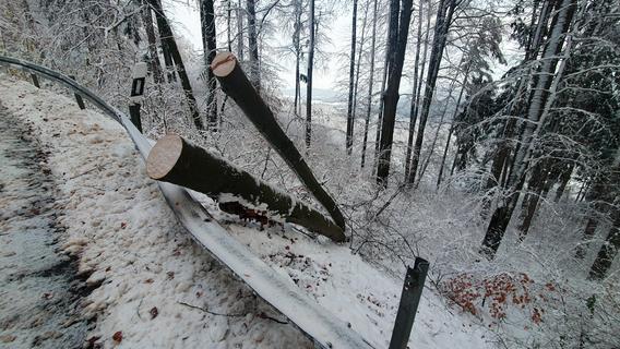 Wintereinbruch in Neumarkt: Viele Blechschäden und umgekippte Bäume