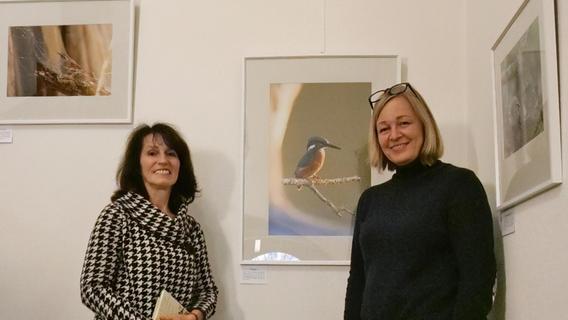 Ausstellung im Treuchtlinger Rathaus: Vogelwelt perfekt in Bildern festgehalten