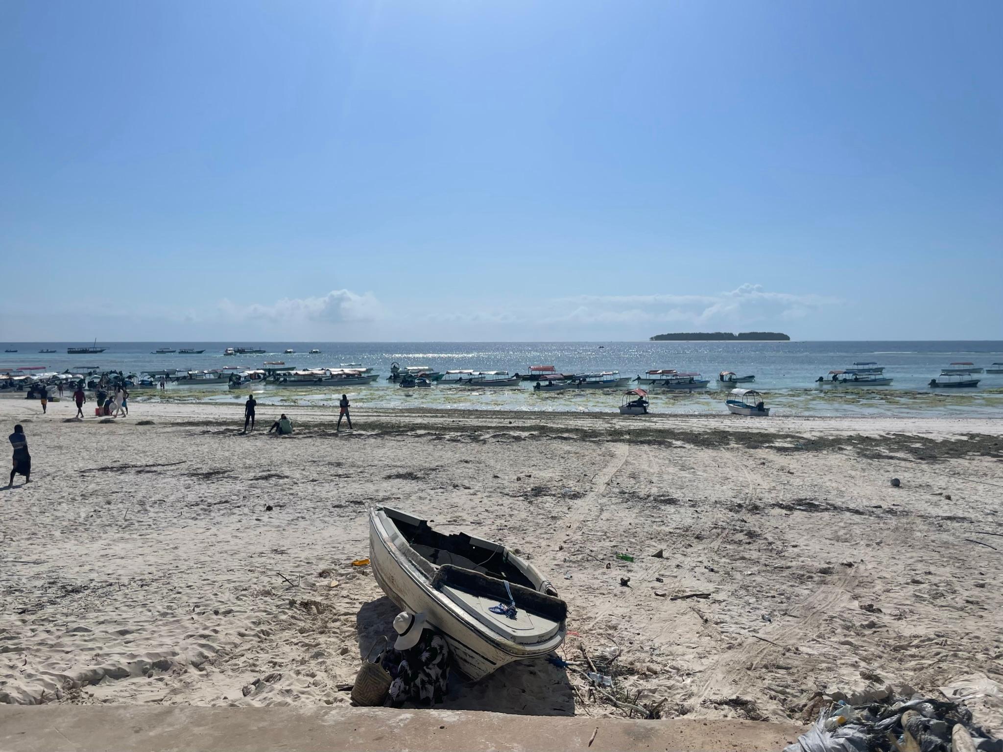 Vom Strand steigen wir direkt in die kleinen Motorboote ein, die uns hinausbringen aufs Meer. Mit etwas Glück werden wir sogar Delfine sehen. 