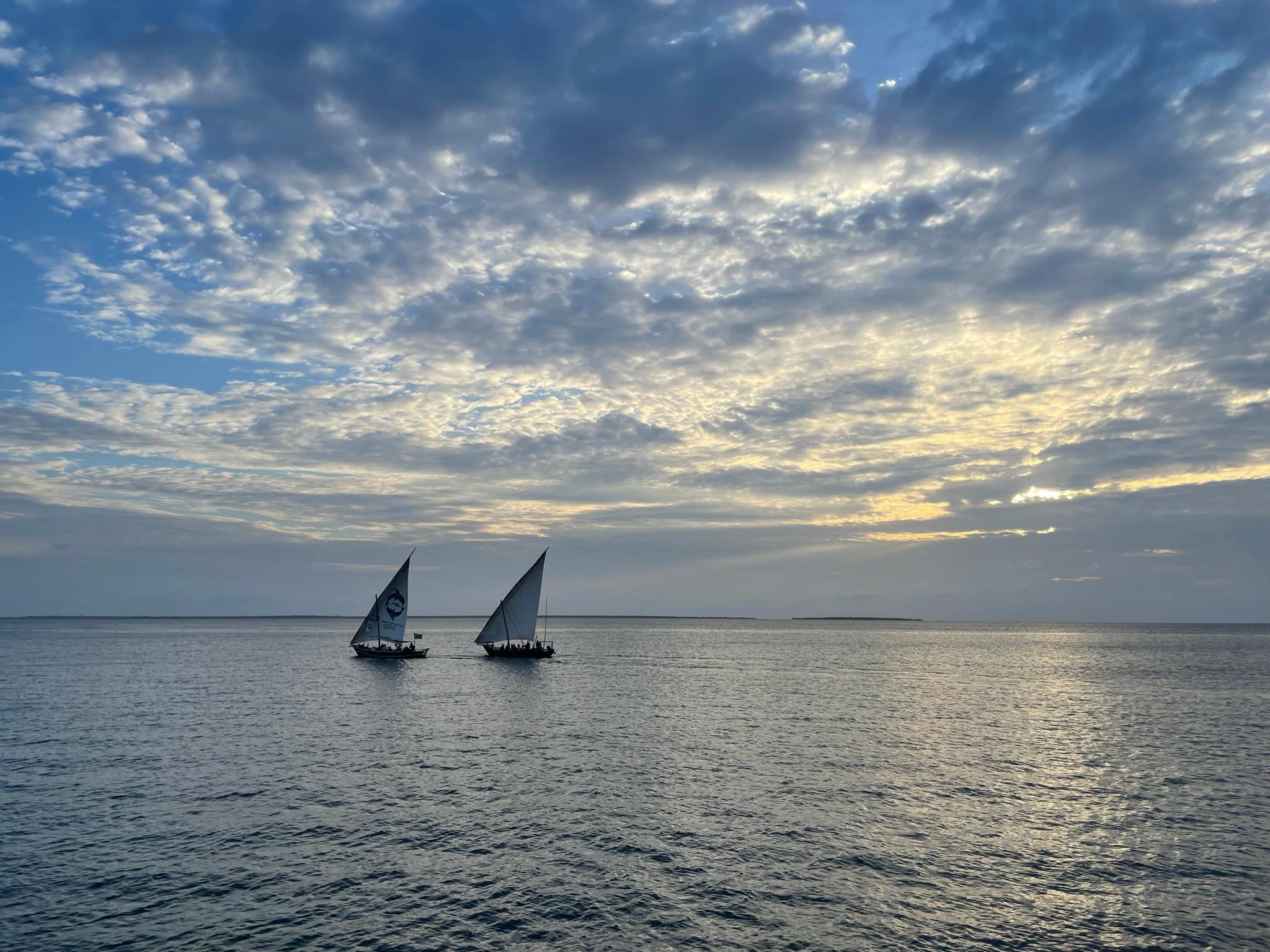 Während wir die Fahrt auf der Dhau genießen, sehen wir in der Ferne zwei weitere Dhaos vorbeischippern. 