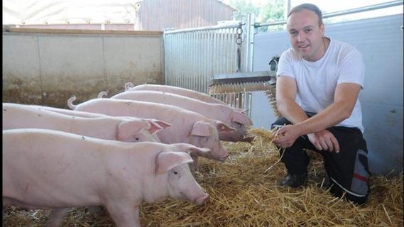 Tierwohl in der Hofmetzgerei: In Rohr werden Schweine artgerecht gehalten - und geschlachtet