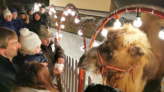 Zwischen Kamel und Feuershow: Beim Weihnachtsmarkt in Spalt lässt sich die Winterstimmung genießen