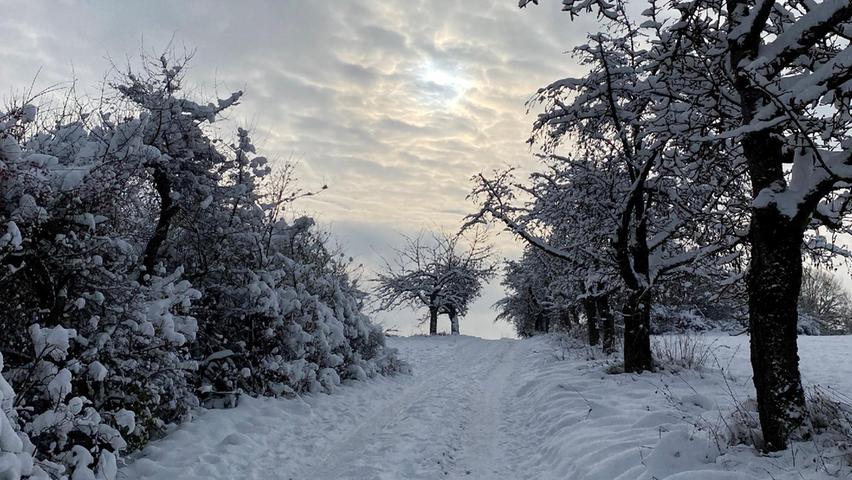 Bei Egloffstein sucht die Sonne die Lücke. Bei Egloffstein sucht die Sonne die Lücke.