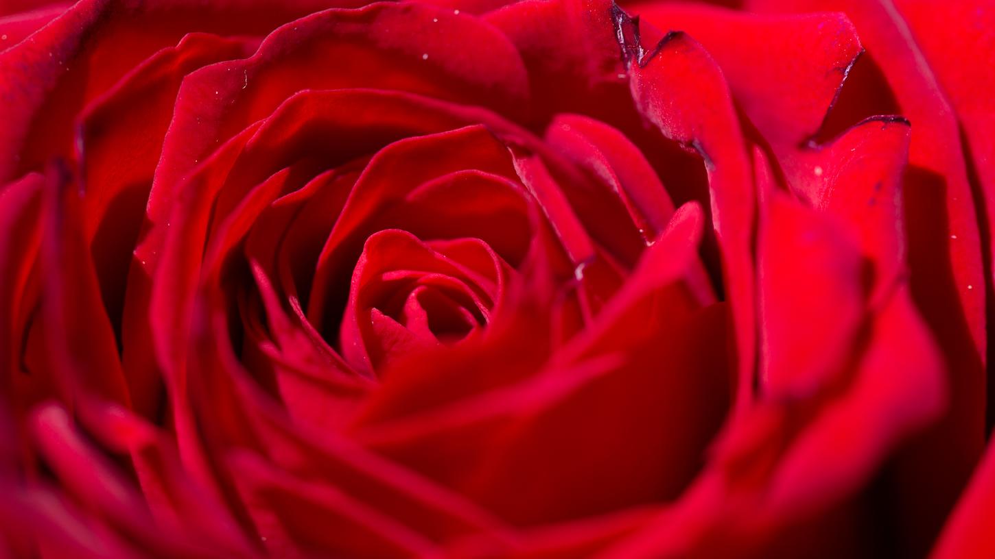 In der kommenden Staffel des "Bachelor" gibt es eine spannende Neuerung. In der kommenden Staffel des "Bachelor" gibt es eine spannende Neuerung.