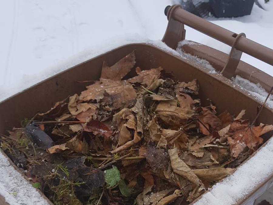 Vor allem feuchte und stark verdichtete Gartenabfälle und Laub kleben im Winter als Block in der braunen Tonne fest. Vor allem feuchte und stark verdichtete Gartenabfälle und Laub kleben im Winter als Block in der braunen Tonne fest.