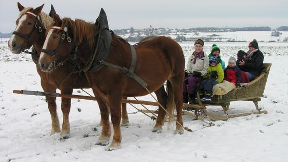 Sobald der Schnee da ist: Schotterers aus Ehlheim sind noch mit dem Pferdeschlitten unterwegs