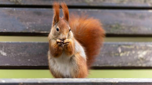 imago images 0372049616