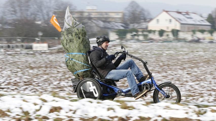 Auch mit dem Lastenfahrrad gelangt der Weihnachtsbaum gut nach Hause. Auch mit dem Lastenfahrrad gelangt der Weihnachtsbaum gut nach Hause.