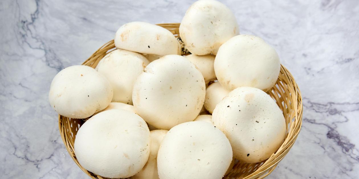 Wie kann man Champignons richtig lagern? | Nordbayern