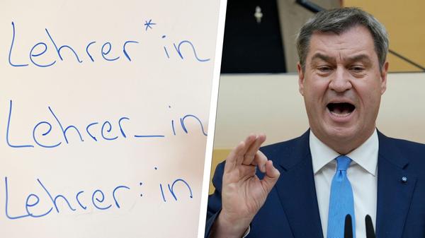 2023-11-2_collage (1).jpg