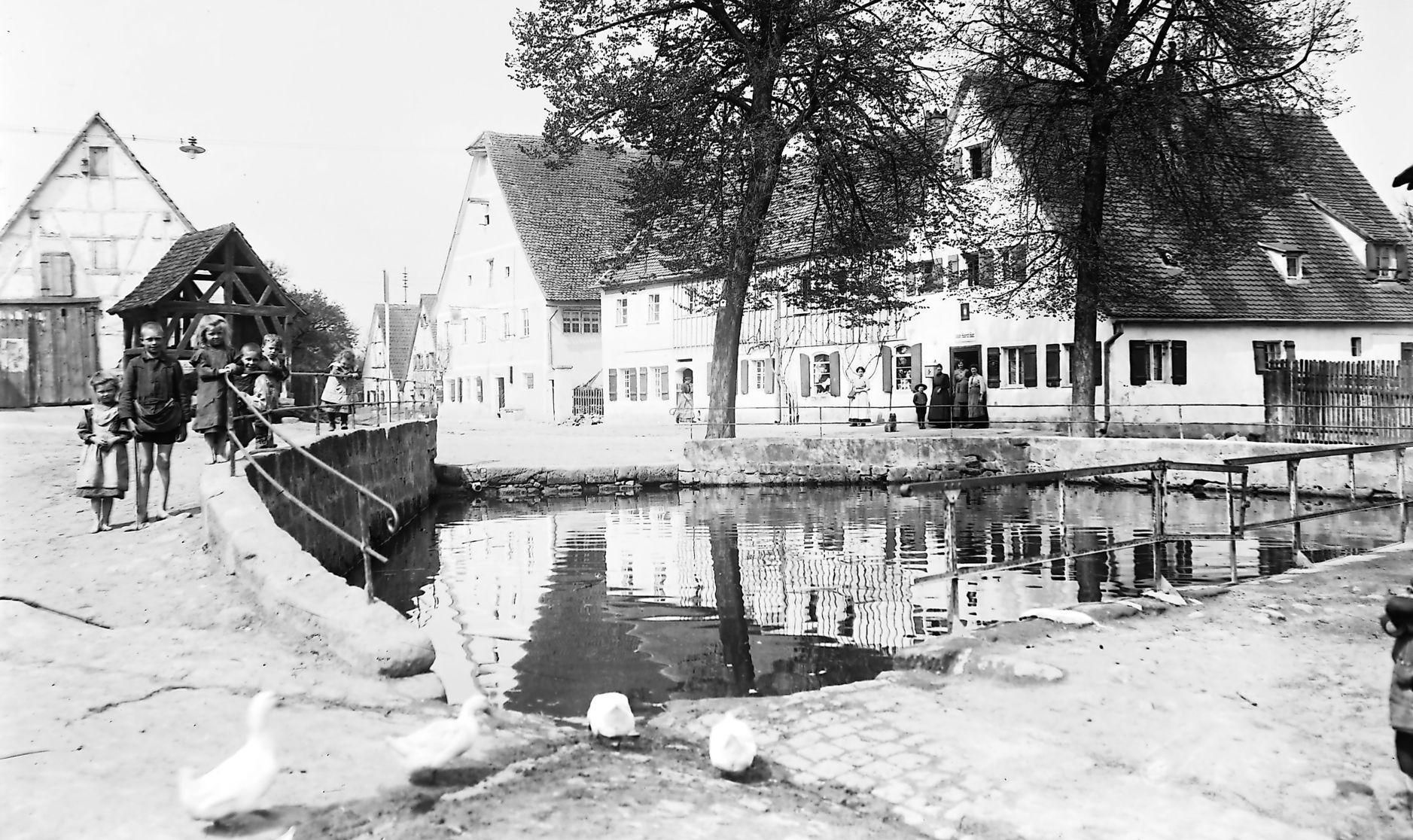 SW-FUE-TEICH_WEB_OBJ23170234_1.JPG