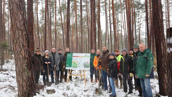 Waldumbau im Landkreis Roth: Bei Baimbach pflanzen Waldbesitzer 120.000 junge Bäume