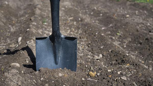 PantherMedia 33531073