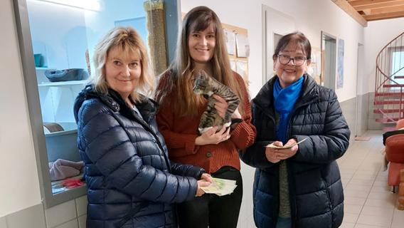 Leseratten spenden für Katzen: Aktion für Tierheim Neumarkt war wieder ein Riesenerfolg
