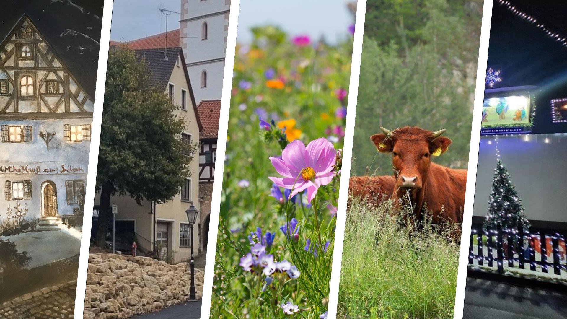 2023-11-4_collage (3).jpg