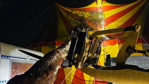 "Ordentlich Glück gehabt": Entwurzelter Baum fällt auf Zirkuszelt in Roth