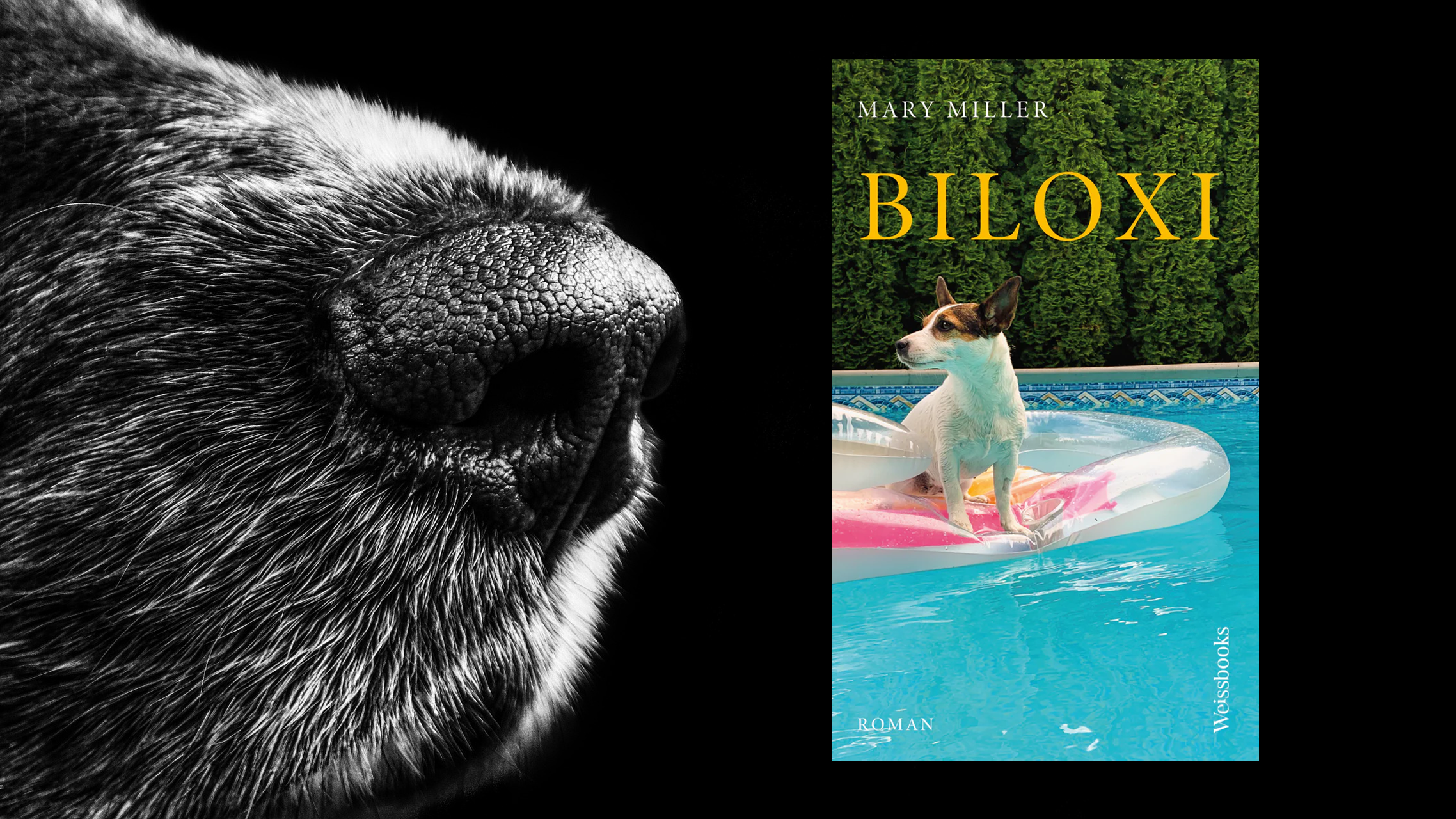 Ihr Vorbild, der unverwüstliche Charles Bukowski, hätte aus dem Stoff eine seiner lapidaren Kurzgeschichten gemacht. Mary Miller, 1977 in Mississippi geboren, geht es in ihrem Südstaaten-Roman "Biloxi" eher gemütlich an: wie ihr vereinsamter, von der Frau unlängst verlassener Frührentner Louis, der eher per Zufall an die Border-Collie-Lady Layla und damit an die Liebe seines Lebens gerät. Mit einigen Hindernissen freilich, etwa zu viel Alkohol (das Übliche) und einer doch recht geilen Diebin! Auch jeder Gassigang wird genau beschrieben... (Weissbooks, 24 Euro) Wolf Ebersberger