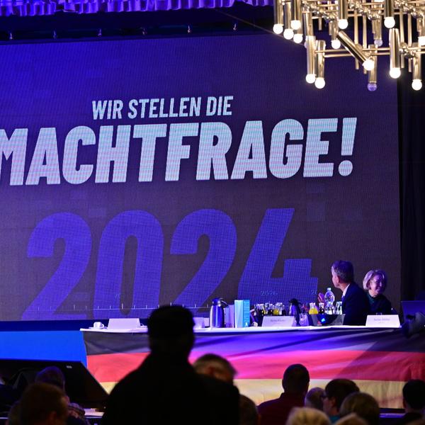 AfD-Landesparteitag
