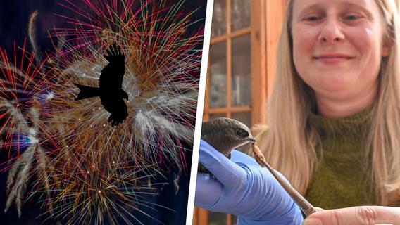 Aus dem Nest gefallene "Böller-Opfer": Natascha Breindl sucht am Neujahrsmorgen verletzte Tiere