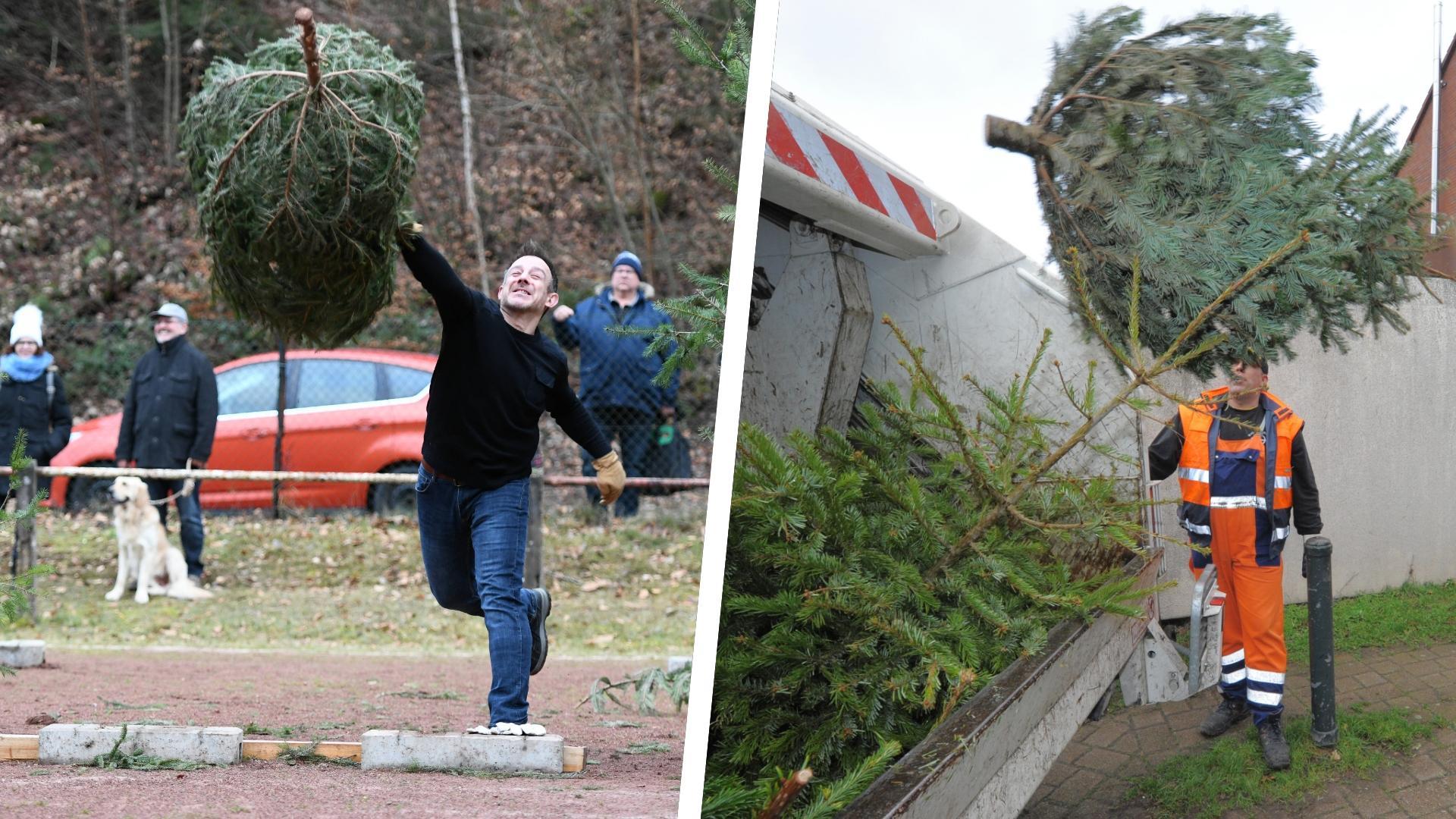 Christbaumentsorgung Schwabach