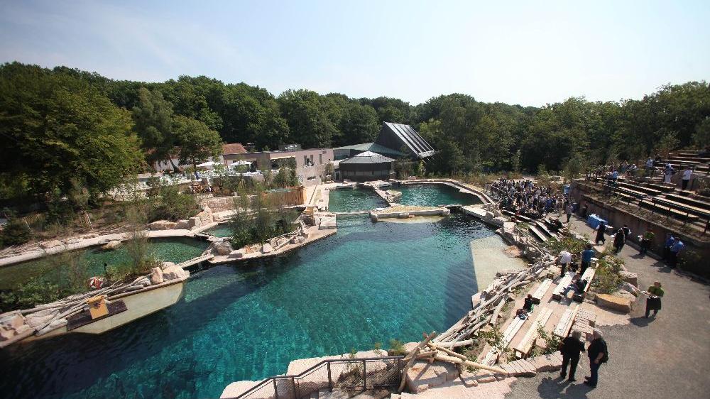 Die erst vier Jahre junge Delfinlagune des Tiergartens Nürnberg muss für einen Millionen-Aufwand saniert werden.