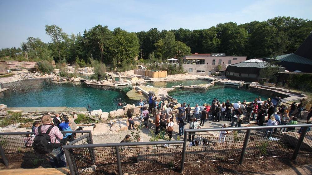 Weil erneut Salzwasser ausgetreten ist, muss die Delfinlagune im Tiergarten saniert werden.