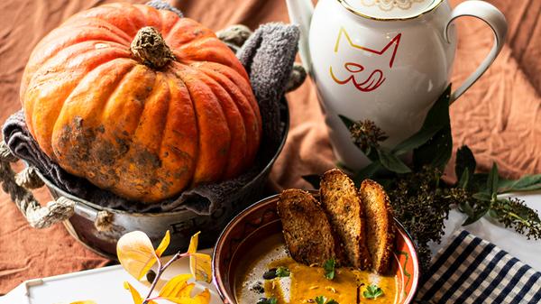 kürbissuppe mit katzenkopf.jpg