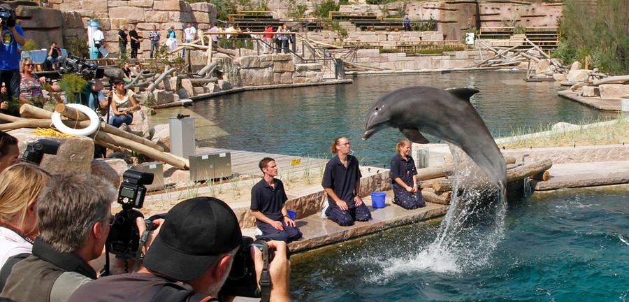 Juli 2011: Delfinlagune ist eröffnet