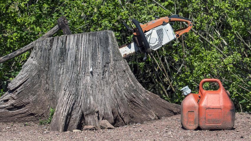 Die besten Methoden, um einen Baumstumpf zu entfernen