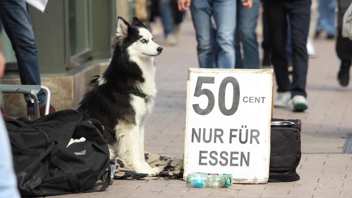 In deutschen Fußgängerzonen gehören sogenannte Bettelhunde zum alltäglichen Anblick. (Symbolbild)