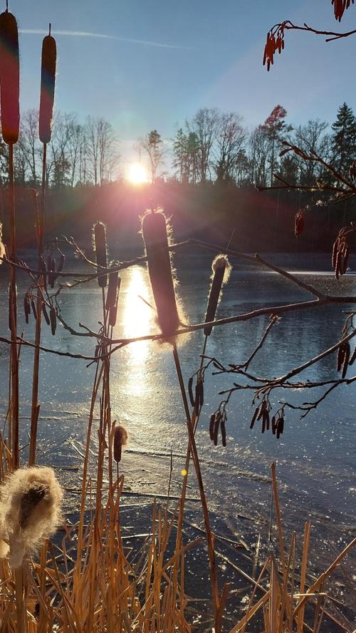 Einen wunderschönen Anblick bietet der zugefrorene Weiher vor Mausenmühle im Aurachtal bei Neuendettelsau. Mehr Leserfotos finden Sie hier