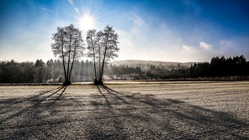 Die Wintersonne steht über zwei Bäumen und lässt zauberhafte Schattenspiele in eisiger Landschaft entstehen. Mehr Leserfotos finden Sie hier