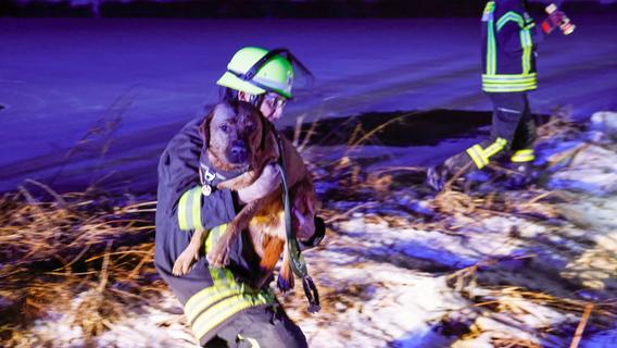 Ins Eis eingebrochen: Feuerwehr rettet Hund in Erlangen