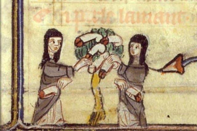 penis-tree-marginalia-to-roman-de-la-rose-14th-century.jpg