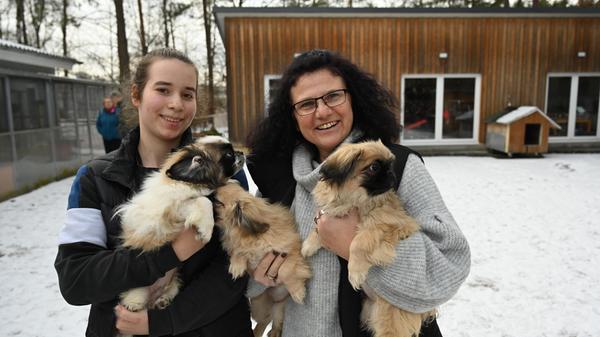 ROT-UeberfuelltesTierheimRoth