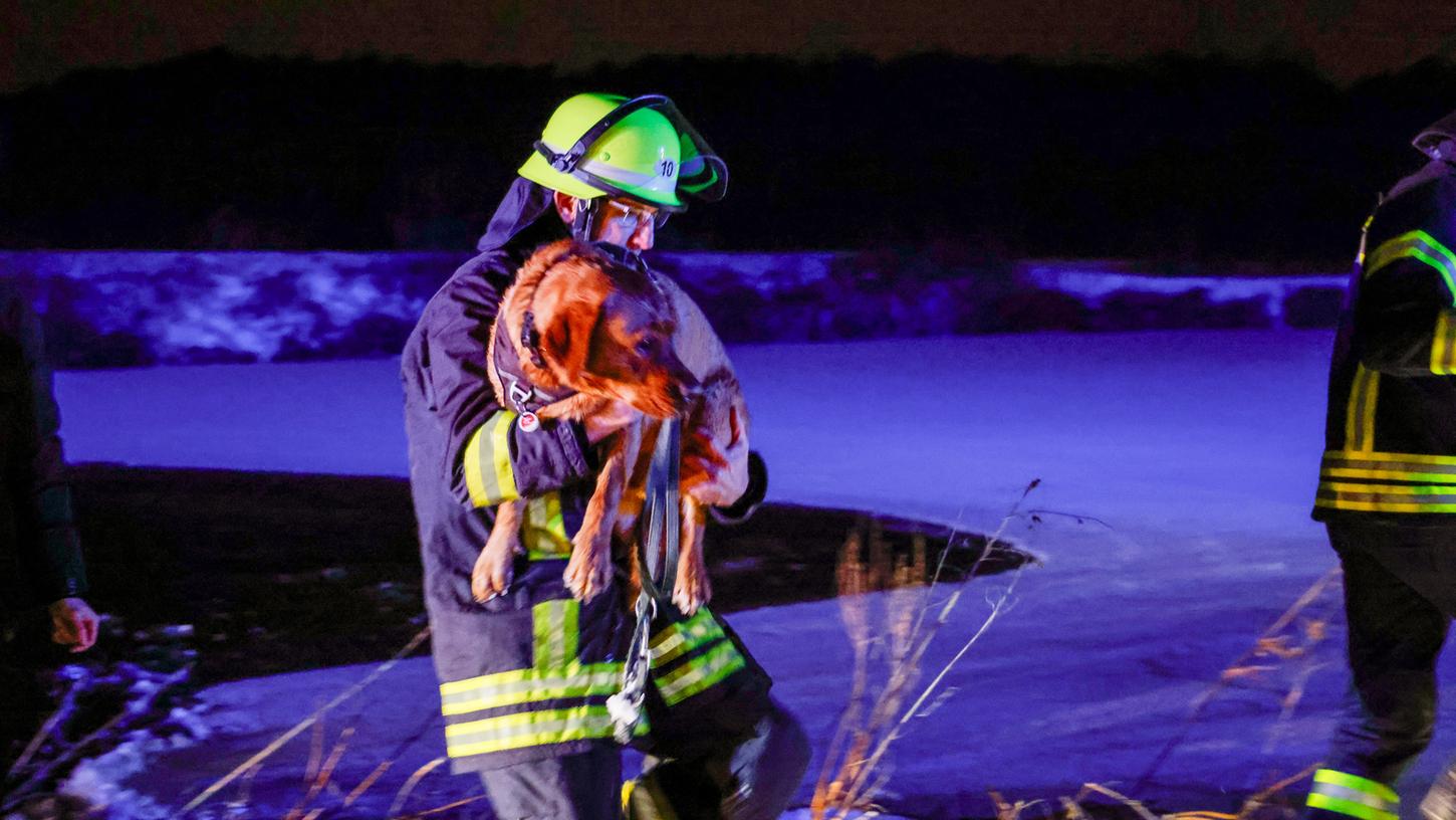 Ein Feuerwehrmann trug Takko aus dem Weiher in ein beheiztes Auto, wo sich der Labrador wärmen konnte. Ein Feuerwehrmann trug Takko aus dem Weiher in ein beheiztes Auto, wo sich der Labrador wärmen konnte.
