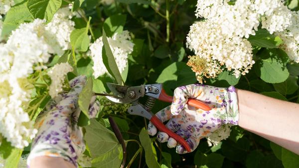 imago images 0305499160