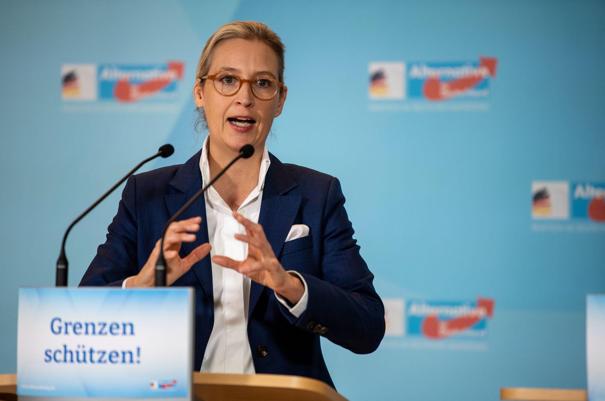 AfD-Vorsitzende Weidel Sieht "Dexit"-Referendum Als Plan B | Nordbayern